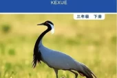 教科版小学科学三年级下册电子课本教材(义务教育教科书)