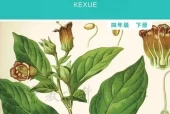 教科版小学科学四年级下册电子课本教材(义务教育教科书)