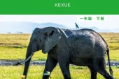 教科版小学科学一年级下册电子课本教材(义务教育教科书)
