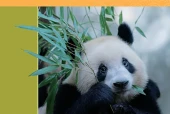 冀教版英语七年级上册电子课本（初中）｜全册9单元目录