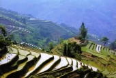 商务星球版初中地理八年级上册电子课本教材(义务教育教科书）